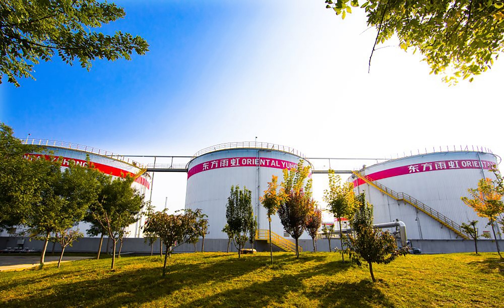 1_250530154035_1 口袋德州官网-口袋德州APP下载